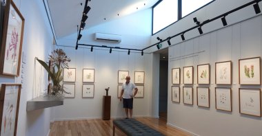 Michael Lutzeyer with illustrations of rare, endangered and endemic plant species, which he exhibits in an art gallery on his private nature reserve Grootbos, Cape Town, South Africa, Oct. 20, 2022. (dpa Photo)