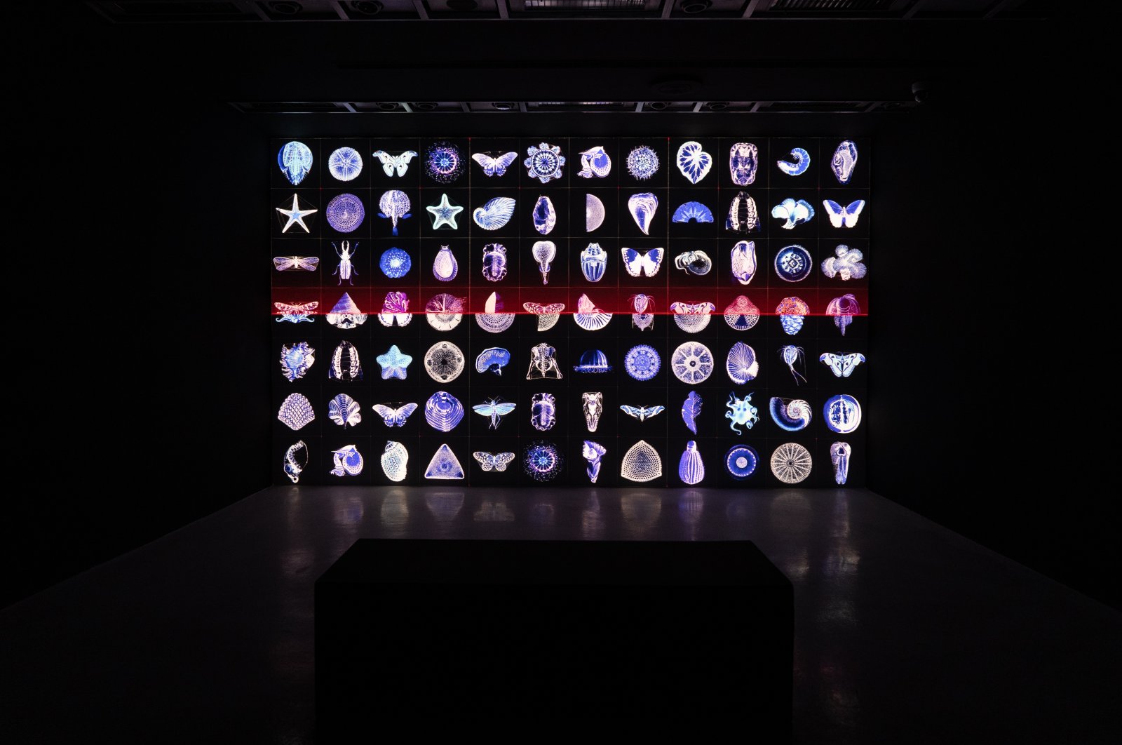 Artwork displayed in the exhibition titled &quot;Digital Serendipity,” Istanbul, Türkiye, Dec. 13, 2022. (Photo courtesy of Akbank Sanat)