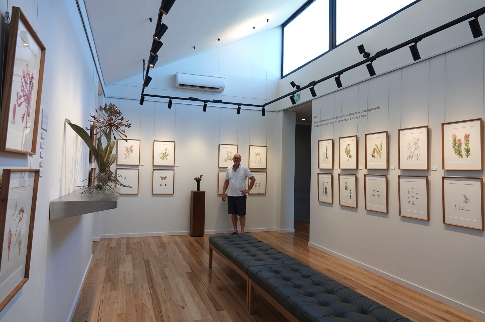 Michael Lutzeyer with illustrations of rare, endangered and endemic plant species, which he exhibits in an art gallery on his private nature reserve Grootbos, Cape Town, South Africa, Oct. 20, 2022. (dpa Photo)