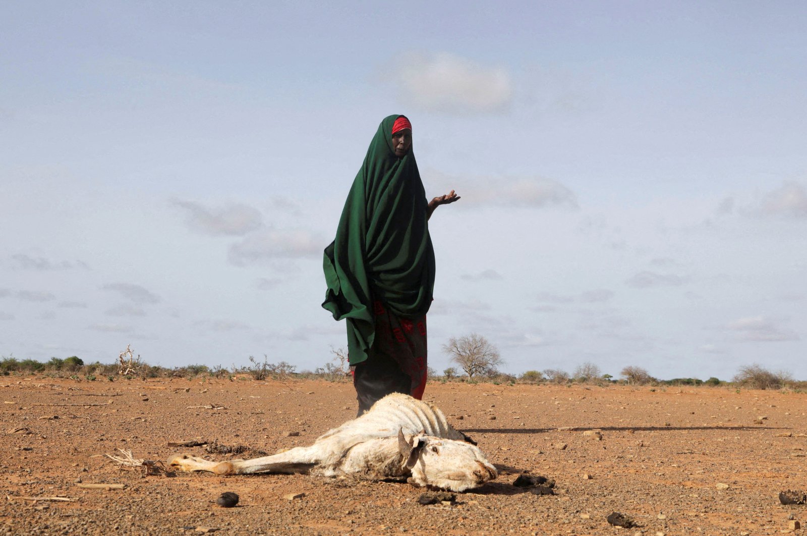 Internally displaced Somali woman Habiba Bile stands near the carcass of her dead livestock following severe droughts near Dollow, Gedo region, Somalia, May 26, 2022.  (Reuters File Photo)