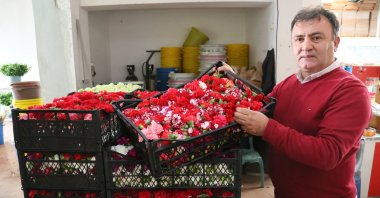 Central Anatolian Ornamental Plants and Products Exporters&#039; Association (OAIB) head Ismail Yılmaz is seen with cut flowers in this photo provided on Dec. 15, 2022. (DHA Photo)