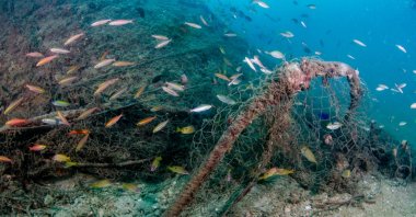 Ghost nets pose a fatal risk for fish and flora while contributing to plastic pollution. (Shutterstock Photo) 