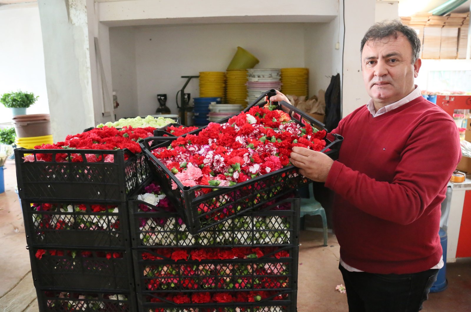 Central Anatolian Ornamental Plants and Products Exporters&#039; Association (OAIB) head Ismail Yılmaz is seen with cut flowers in this photo provided on Dec. 15, 2022. (DHA Photo)