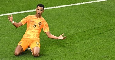 Netherlands' Cody Gakpo celebrates scoring in a Qatar 2022 World Cup match against Senegal, Doha, Qatar, Nov. 21, 2022. (AFP Photo)