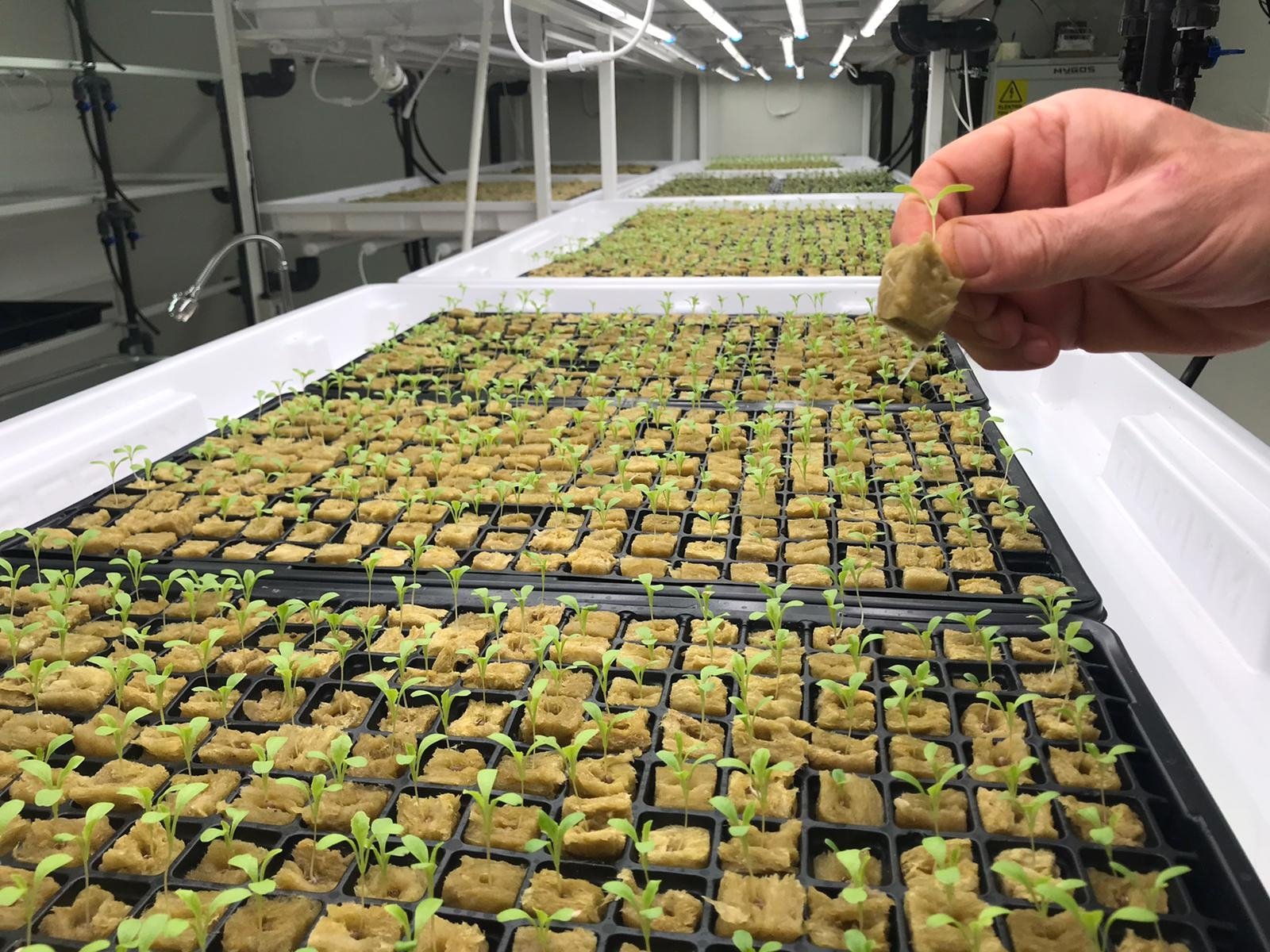 World's 2nd deepest vertical agricultural center is in Istanbul. (AA PHoto)