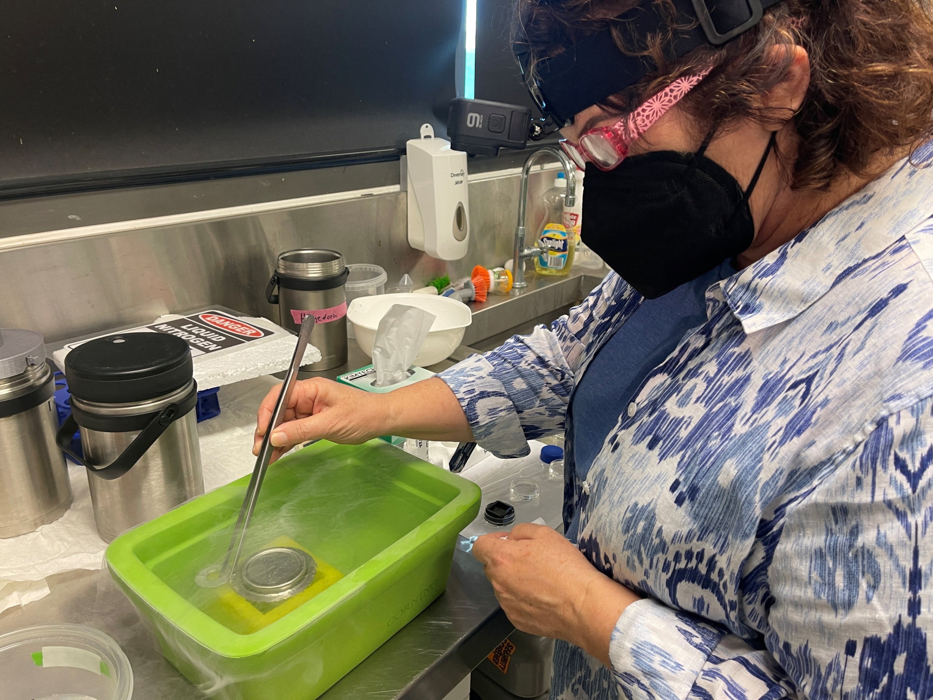 Ilmuwan peneliti senior Mary Hagedorn bekerja dengan teknologi jaring modern dalam nitrogen cair di Institut Ilmu Kelautan Australia di Townsville, Australia, 14 Desember 2022. (Foto Reuters)