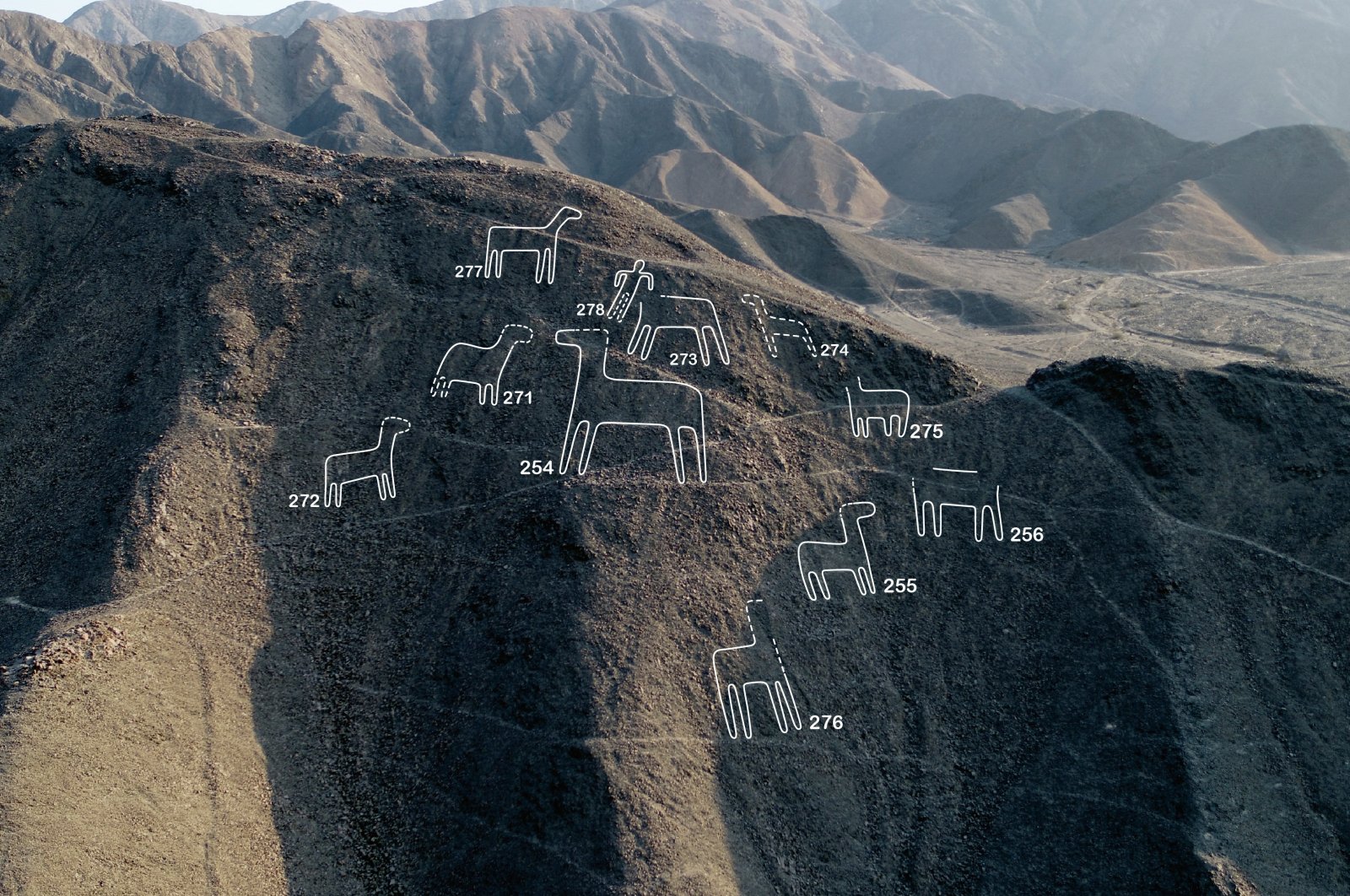 Lebih dari 100 desain kuno baru ditemukan di garis Nazca berusia 2.000 tahun