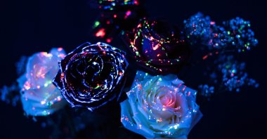 “A rose’s rarest essence lives in the thorn,” Mevlana Jalaluddin Rumi said, or if you ask Saadi Shirazi, a great Persian poet in the medieval period, “The rose and the thorn, and sorrow and gladness are linked together.” Well, what are the “roses” in the garden of a contemporary journalist? (Getty Images Photo)