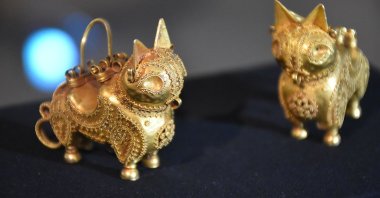 A pair of lynx-shaped gold earrings discovered near the Ani Ruins, in Kars, Türkiye, Dec. 21, 2022. (AA Photo)