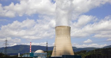 A woman walks her dogs in front of the Swiss nuclear power plant Goesgen near the town of Daeniken, west of Zurich, Switzerland, July 15, 2015. (AFP Photo)