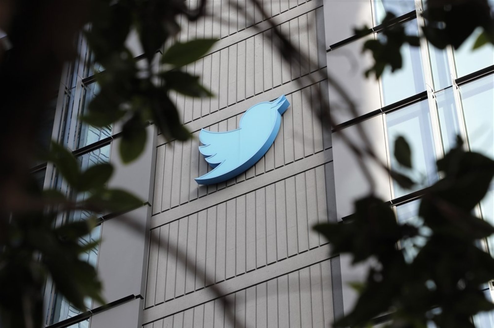 Twitter dilaporkan membantu kampanye propaganda rahasia Pentagon