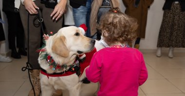 Molly the therapy dog meets a little girl undergoing cancer treatment at Ankara Gülhane Training and Research Hospital, Türkiye, Dec. 21, 2022. (AA Photo)