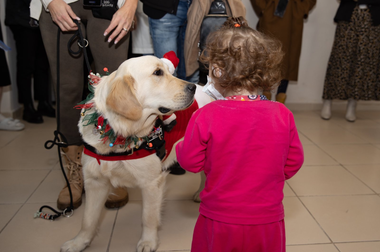 Molly the therapy dog meets a little girl undergoing cancer treatment at Ankara Gülhane Training and Research Hospital, Türkiye, Dec. 21, 2022. (AA Photo)