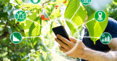 Technology and data-oriented entrepreneurs operating in the field of agriculture are discussing increasing cooperation and projects with the angel investment network ecosystem. (Reuters Photo)