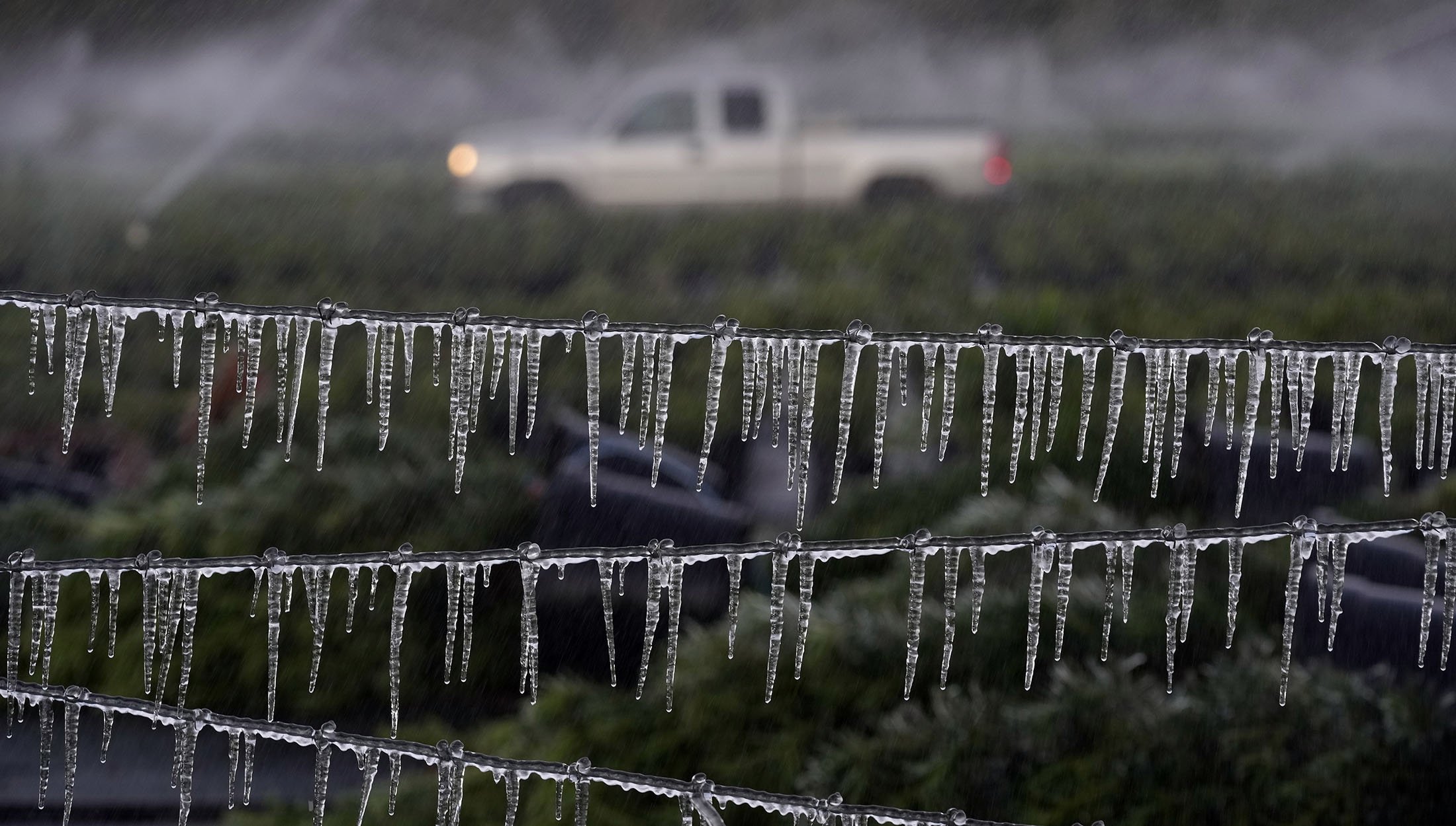 Seorang petani berkendara melewati pagar yang tertutup es saat memeriksa tanaman hiasnya sebelum matahari terbit, di Plant City, Florida, AS, 24 Desember 2022. (Foto AP)
