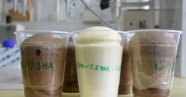 Polyols, one of the basic inputs of polyurethane and polyurethane composites obtained by liquefying plant wastes at Eskişehir Technical University, Eskişehir, Türkiye, Dec. 21, 2022. (AA Photo)