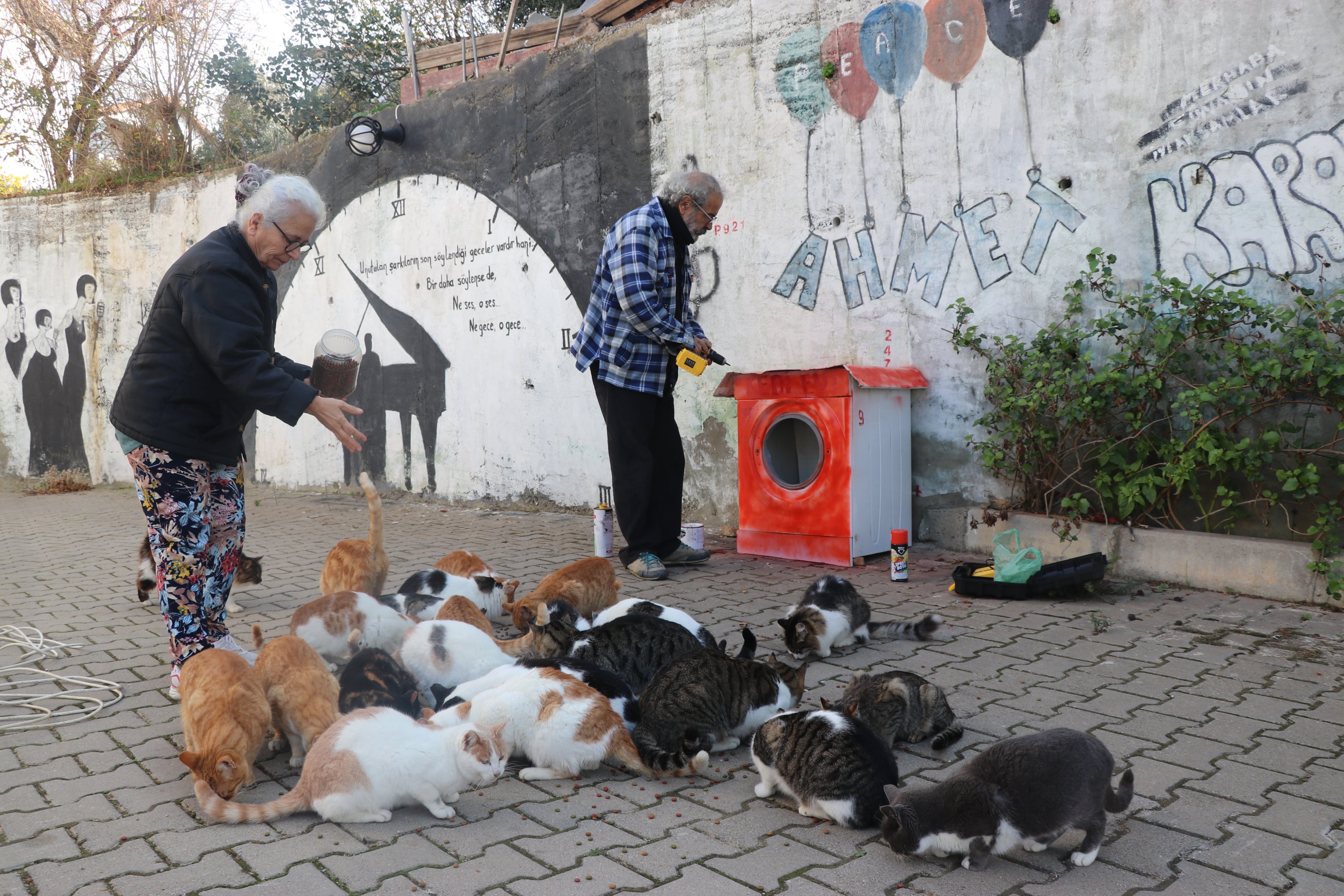 Ahmet dan Nilüfer Karakayan memberi makan kucing, di Izmir, Türkiye barat, 28 Desember 2022. (Foto AA) 