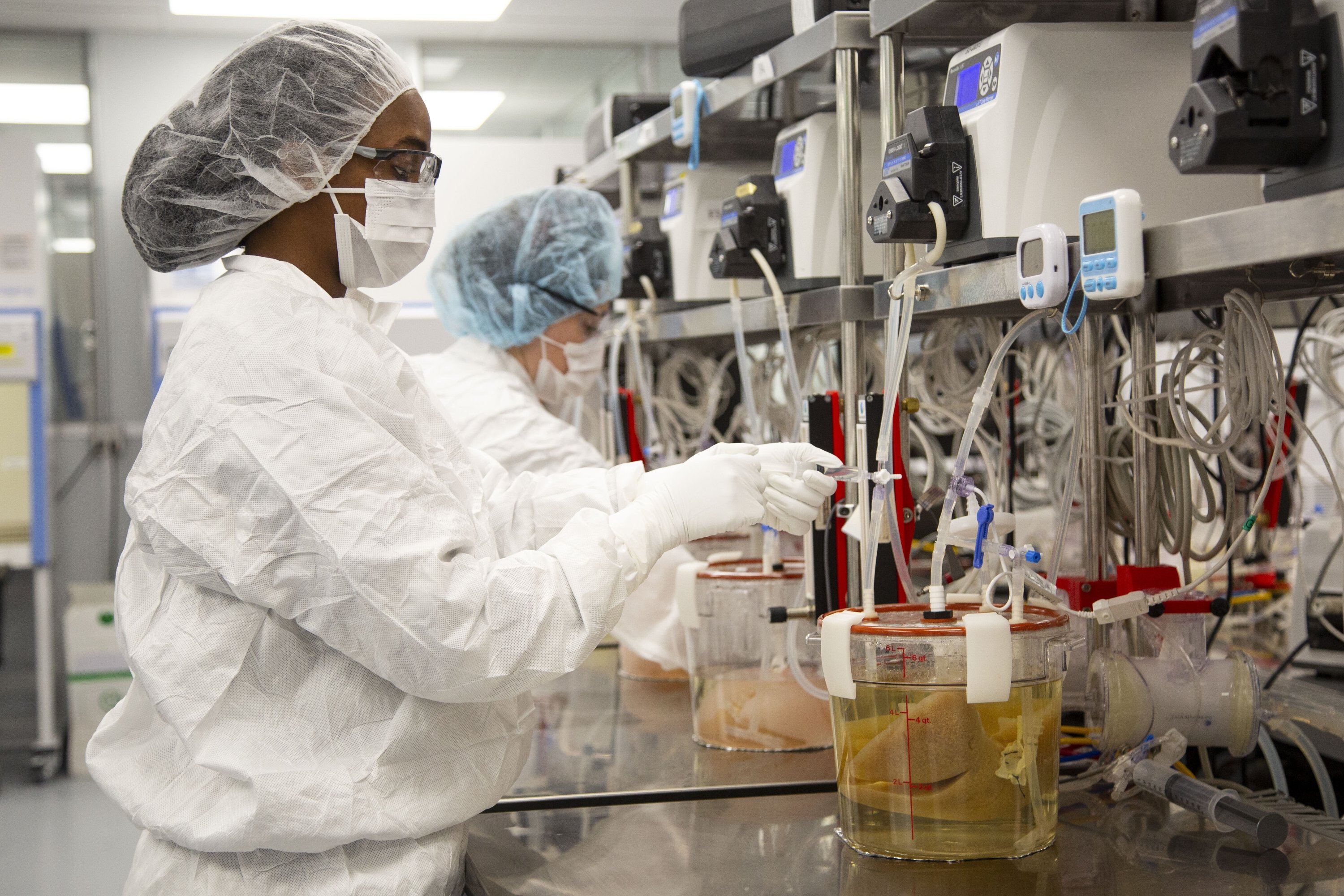 Teknisi bekerja dengan hati babi yang tumbuh di bioreaktor di laboratorium Micromatrix, di Eden Prairie, Minnesota, AS, 8 Desember 2022. (Foto AP)