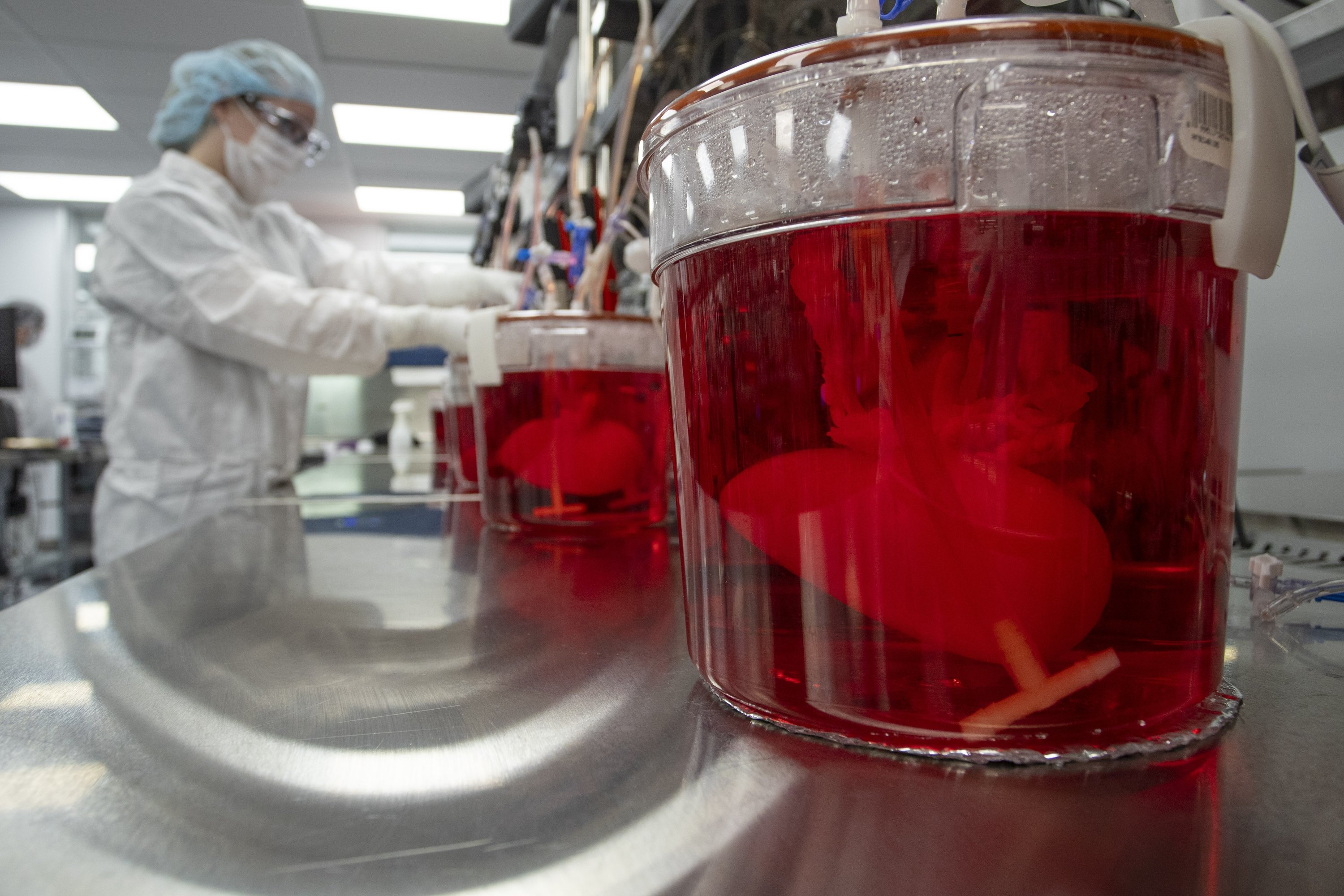 Seorang teknisi bekerja dengan bioreaktor yang mengandung ginjal babi di laboratorium Micromatrix, di Eden Prairie, Minnesota, AS, 8 Desember 2022. (Foto AP)