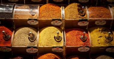 Selective blur on piles of spices of various colors and tastes, used in Turkish food, Istanbul, Türkiye, May 21, 2022. (Shutterstock Photo) 