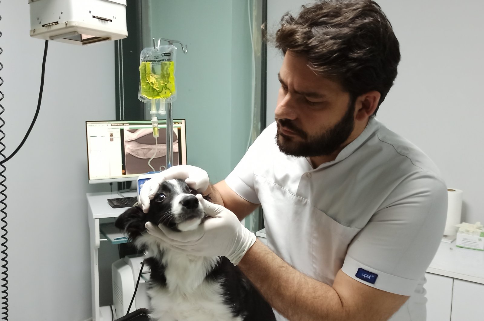 E-resep Turki, sistem vaksin menyederhanakan perawatan hewan