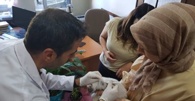 A vet inserts a microchip of a citizen&#039;s pet animal in Türkiye, Jan. 3, 2023. (AA Photo)