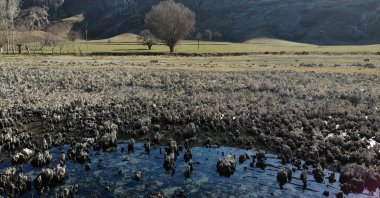 A view of microbialites in Lake Van that emerged from the bottom due to the decline in water levels, in Van, eastern Türkiye, Jan. 3, 2023. (IHA Photo)