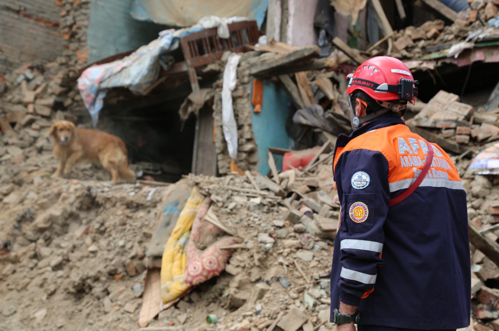 Türkiye Disaster and Emergency Management Authority officials conduct a search after an earthquake in Istanbul, Türkiye, Oct. 6, 2016. (Shutterstock Photo)