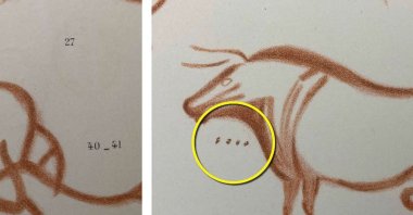 Undated handout photo issued by Durham University of a red ochre drawing of an aurochs (wild cattle) in La Pasiega cave (Cantabria, Spain) around 23,000 years ago showing a set of four dots. (DPA Photo)