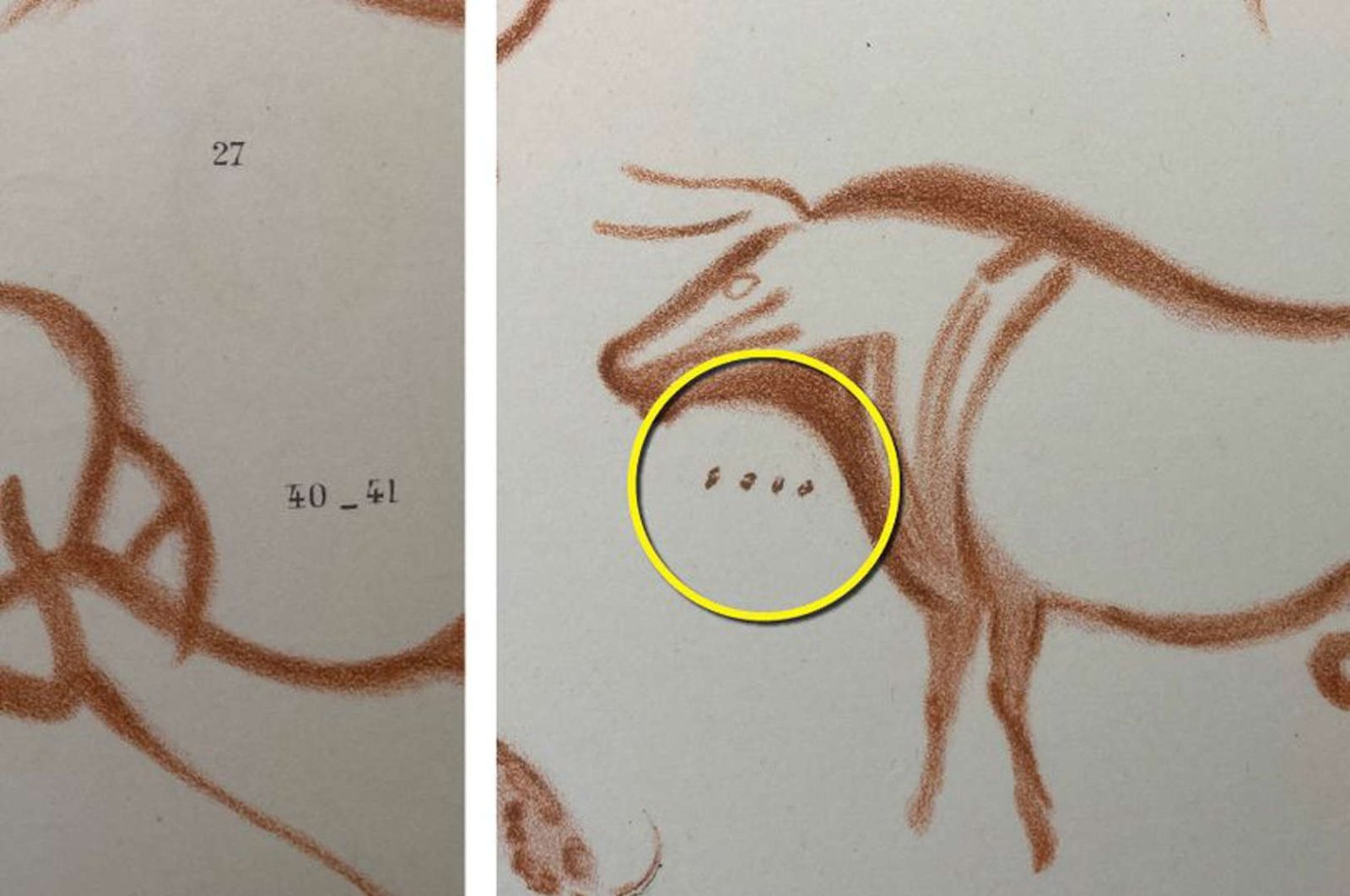 Undated handout photo issued by Durham University of a red ochre drawing of an aurochs (wild cattle) in La Pasiega cave (Cantabria, Spain) around 23,000 years ago showing a set of four dots. (DPA Photo)