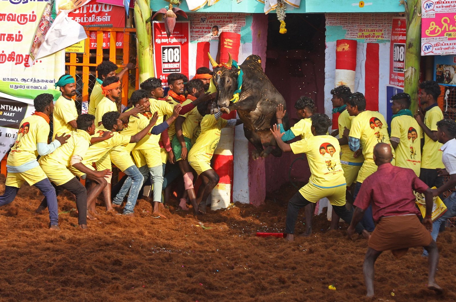 Participants try to control a bull during an annual bull-taming festival &#039;Jallikattu&#039; in Palamedu village on the outskirts of Madurai, Jan.16, 2023. (AFP Photo)