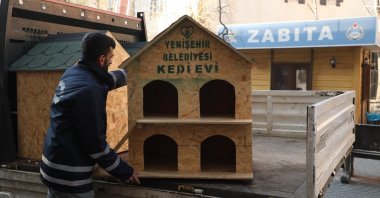 Diyarbakır's Yenişehir Municipality distributes 200 houses for street animals amid the cold weather, Diyarbakır, southeastern Türkiye, Jan. 17, 2023. (IHA Photo)