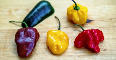 Some chillies contain significantly more capsaicin than others. (dpa Photo)