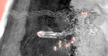 A thermal image of marine and coastal officials standing near a leatherback sea turtle, in Phang Nga, Thailand, Jan. 14, 2023. (Reuters Photo)