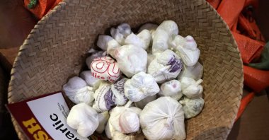 Garlic cloves made of plastic bags are displayed at a grocery store that features thousands of products made entirely of discarded plastic, in Ann Arbor, Michigan, U.S., Jan. 17, 2023. (AP Photo)