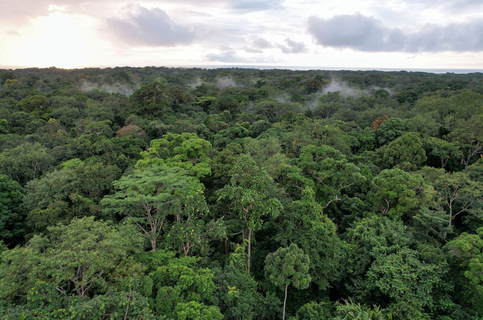 An aerial view shows Gabonese rainforest, in Arboretum Raponda Walker, Gabon, Oct. 11, 2021. (Reuters Photo)