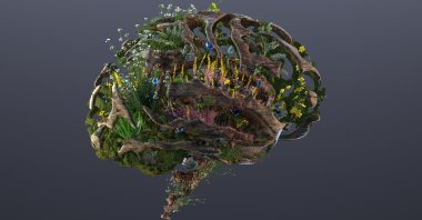 Amid the impact of the coronavirus pandemic and the Russia-Ukraine war, the world is facing five key megatrends for the future.