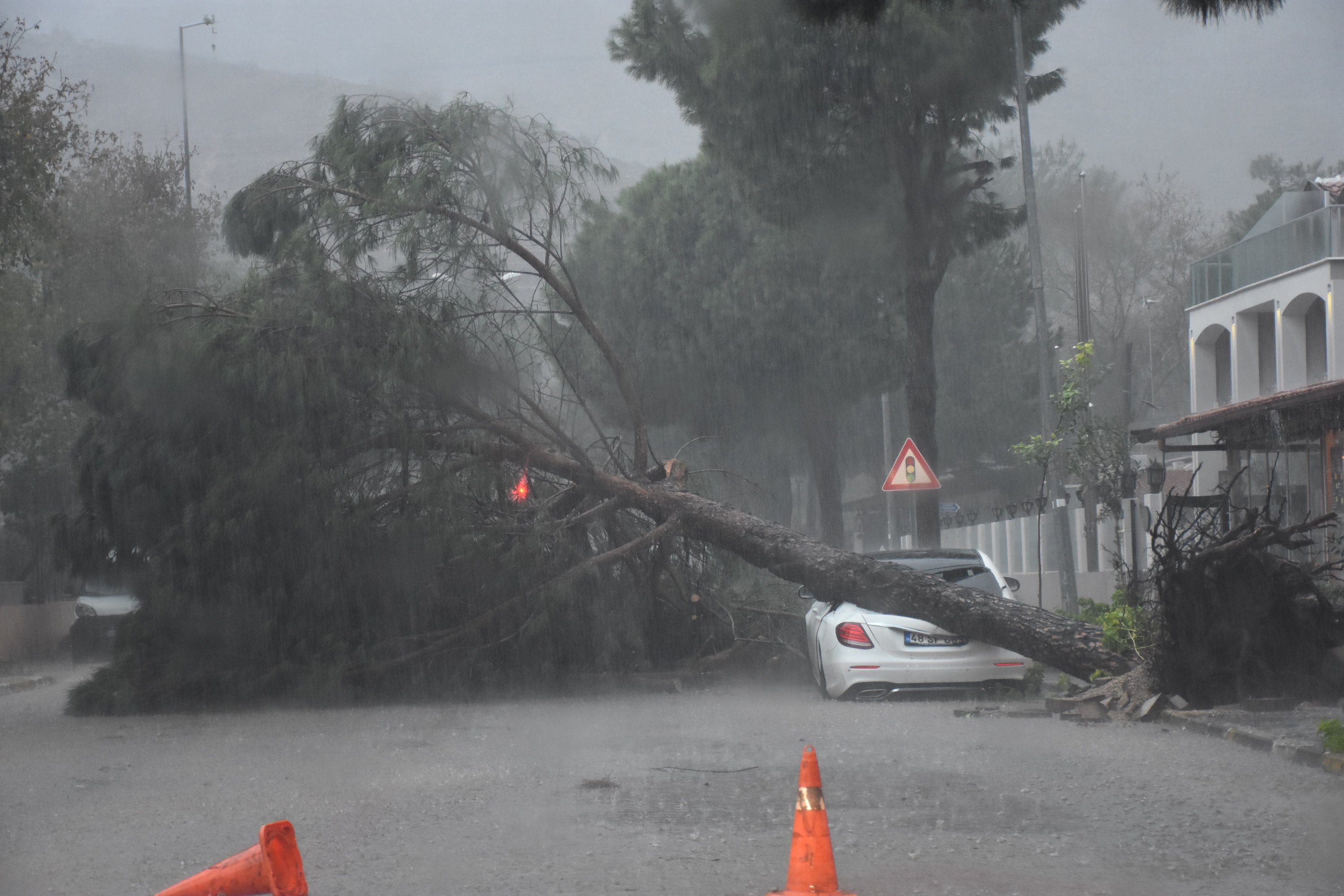 Sebuah mobil rusak akibat pohon saat badai barat daya di Muğla, Türkiye, 27 Januari 2023. (Foto AA)