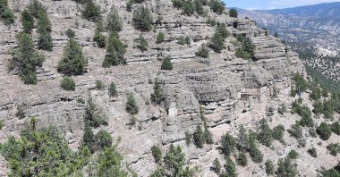A view of Türkiye's first fossil forest, Bolu, Jan. 27, 2023. (AA Photo)