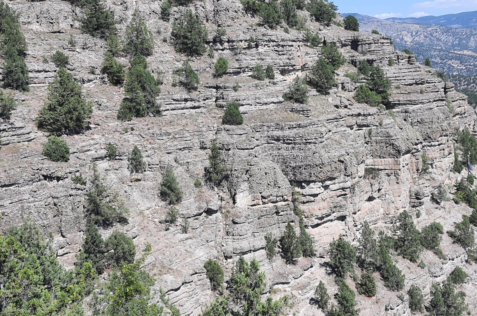 A view of Türkiye&#039;s first fossil forest, Bolu, Jan. 27, 2023. (AA Photo)