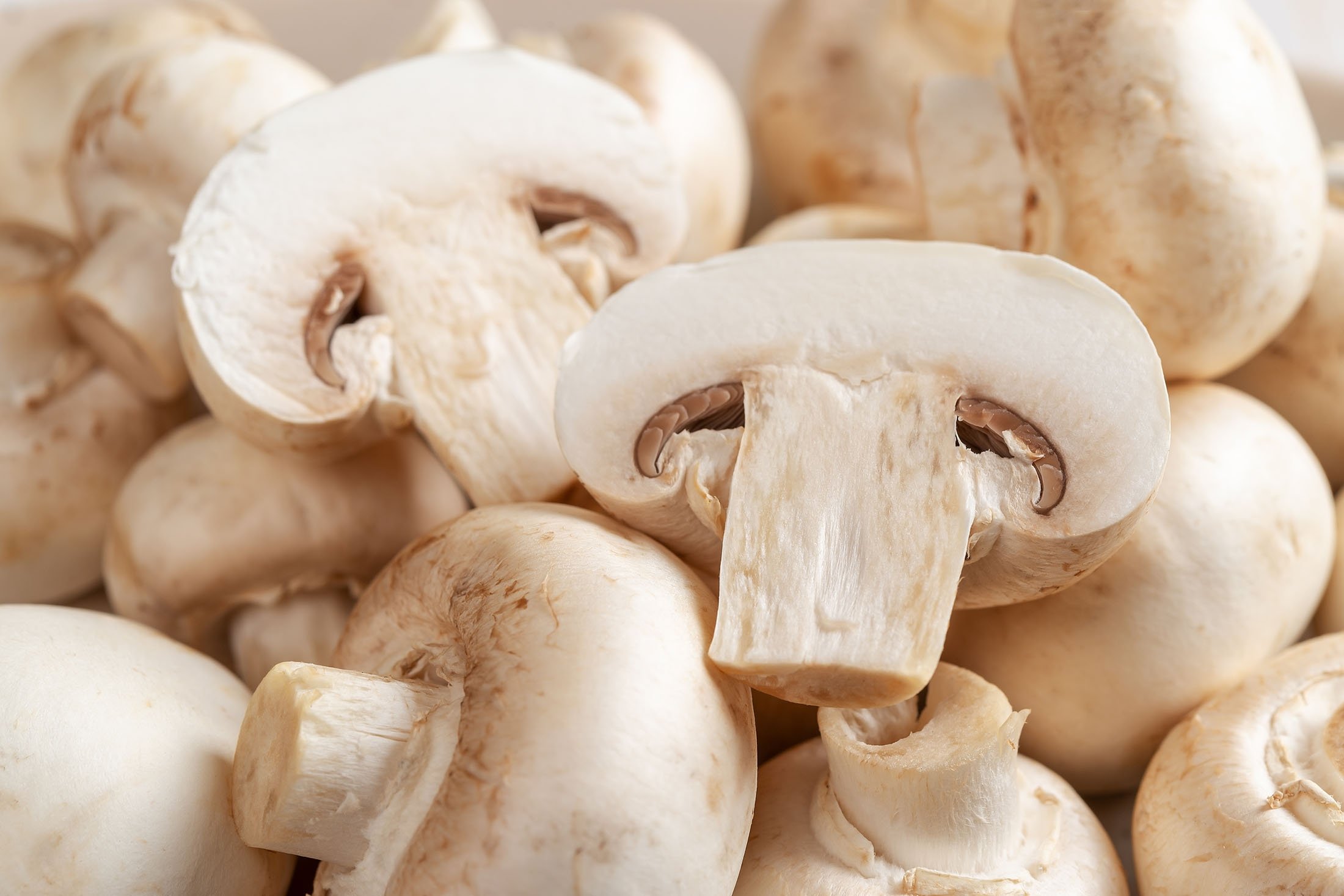 The cultivated mushroom is the most farmed and consumed mushroom species in the world. (Shutterstock Photo)