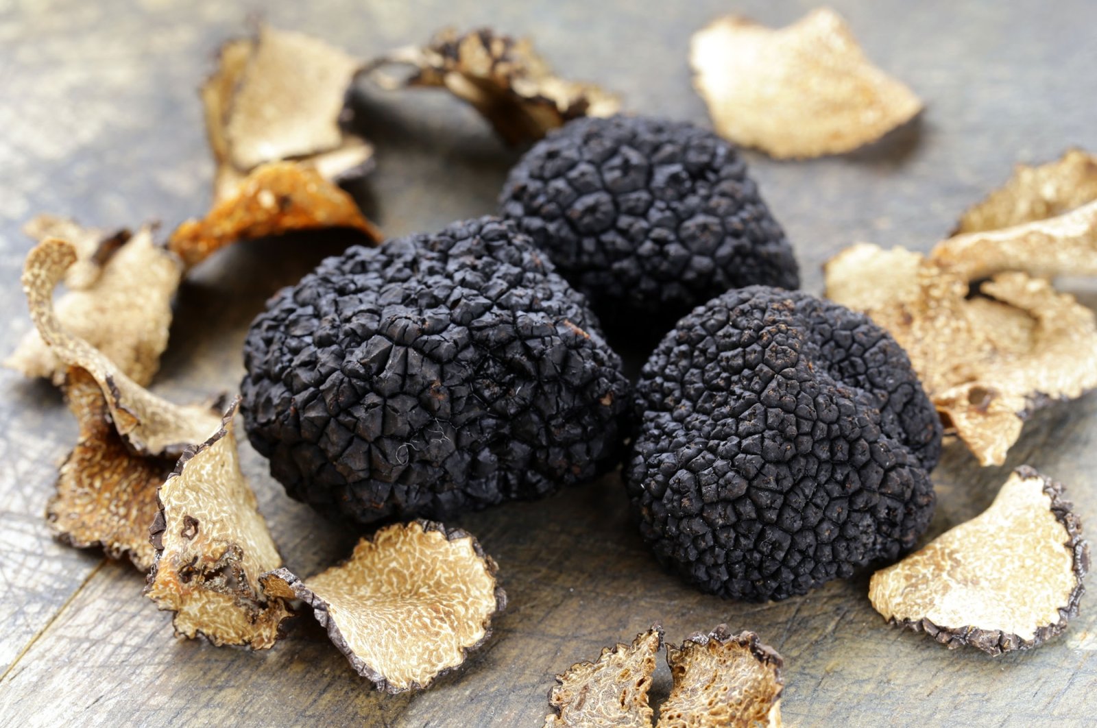 Black truffles are one of the most expensive edible mushrooms in the world. (Shutterstock Photo)