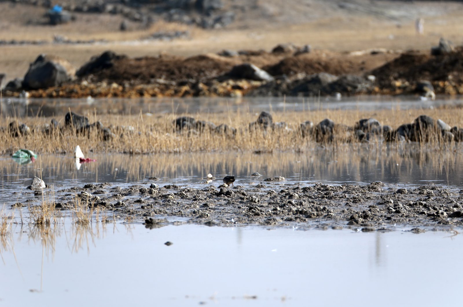 The exposed shoreline of Karasu wetlands after the water receded due to drought, Iğdır, eastern Türkiye, Jan. 28, 2023. (AA Photo)