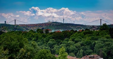Trees and foliage at a spot in Istanbul, Türkiye. (Shutterstock Photo)