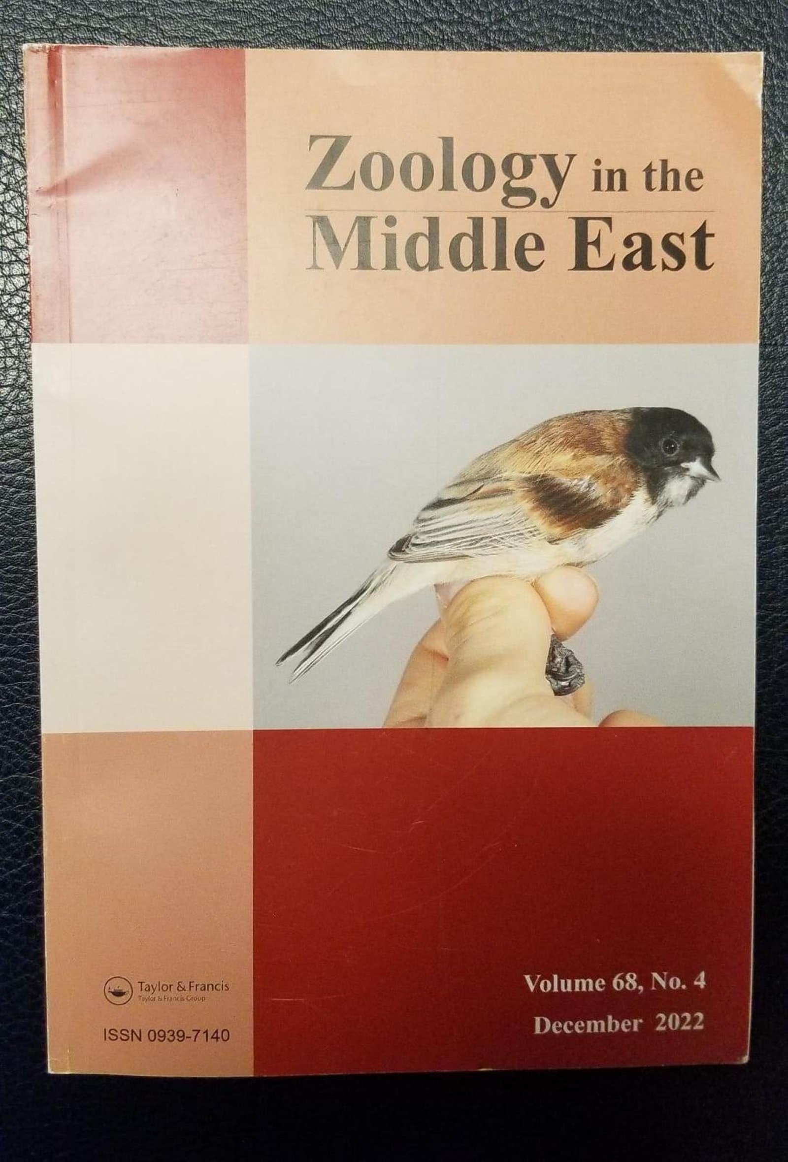 Artikel tentang penduline tit berkepala hitam diterbitkan dalam jurnal Zoology in the Middle East, Iğdır, Türkiye, 6 April 2022. (Foto AA)