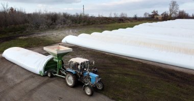 A general view of grain sleeves, a temporary grain storage solution, loaded with grain in the village of Kozyn in the Kyiv region, Ukraine, Nov. 9, 2022. (Reuters File Photo)