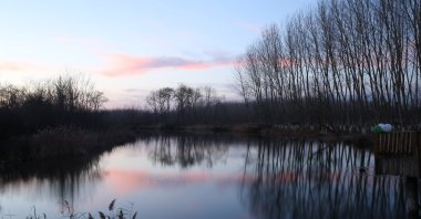 The Acarlar Floodplain in Sakarya, which is the largest continuous floodplain forest in Türkiye, hosted the World Wetlands Day event, Sakarya, Türkiye, Feb. 2, 2023. (AA Photo)