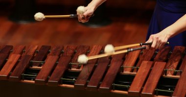 Turkish artist Lerzan Tuncer plays her marimba instrument, in Izmir, Türkiye, Feb. 3, 2023. (AA Photo)