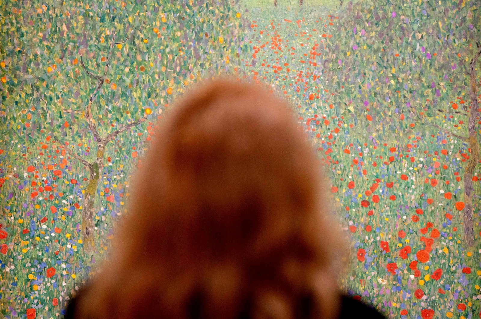 A woman looks at the painting &quot;Field of Poppies&quot; (1907) by Austrian painter Gustav Klimt, during a preview of an exhibition in Vienna, Austria, Feb. 2, 2023. (AFP Photo)
