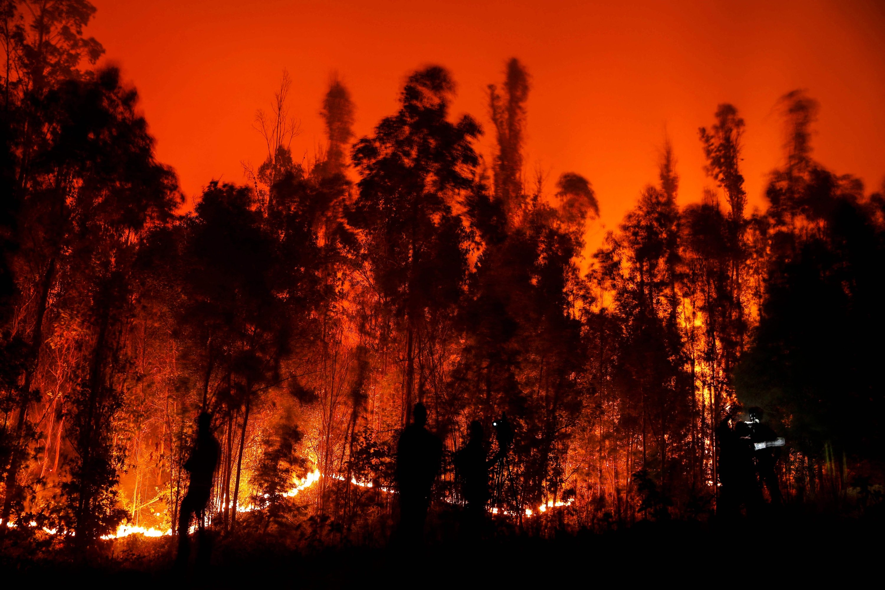 Orang-orang memadamkan api di Puren, wilayah Araucania, Chili, 4 Februari 2023. (Foto AFP)